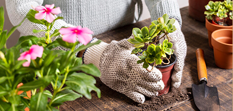 You can also use the part that you like most, but this one is preferable to all other, as it can be easily observed and taken care of. All other parts should do the trick, but keep that in mind. Image